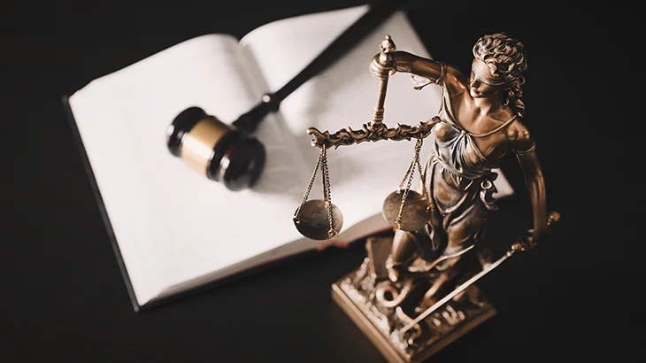 Attorneys image